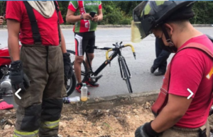 Atropellan y matan a tigrillo bebé en Arco Norte de Cancún