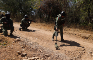 Ejército desactiva más de 250 minas enterradas por el CJNG en Michoacán