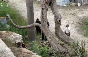 Hombre cae al Acuaparque de Mérida