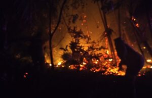 Bomberos controlan incendio en la Reserva de la Biósfera Sian Ka’an