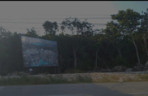 Empresa del Ejército será administradora del Parque Nacional ‘El Jaguar’ en Tulum