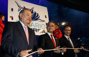 Bióloga muere ahogada en Acuario Inbursa, propiedad de Carlos Slim