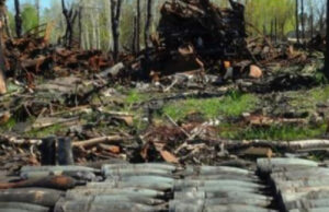 Ucrania pierde hasta 100 militares al día por los ataques de Rusia