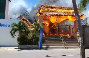 Parque Dolphin Discovery se incendia en Isla Mujeres
