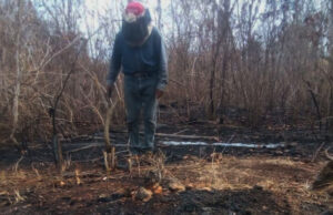 Afectados piden apoyo para recuperar apiarios consumidos en incendio entre Campeche y Quintana Roo