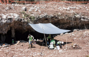 Ambientalistas advierten el peligro de las obras del Tren Maya en la caverna Angry Wasp