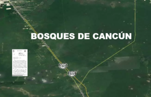 Demanda a Isabel Albor Salinas por fraude y falsificación de firmas en Cancún
