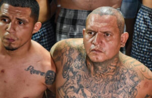 Ejército identifica presencia de Mara Salvatruchas 13 en Chiapas y Campeche