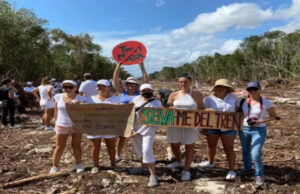 Usuarios reclaman a Semarnat por callar sobre 45 asesinatos de ambientalistas