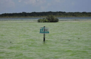 AMLO descarta afectación del Tren Maya en la laguna de Bacalar