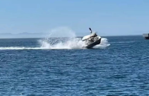 Bote turístico impacta contra ballena en Baja California Sur; hay seis heridos