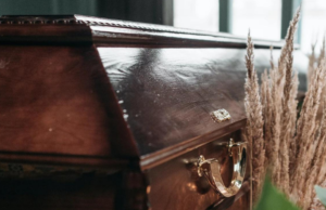 Borrador automático