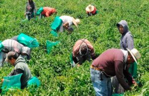 Quintana Roo lidera con mayor crecimiento económico en México