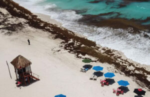 Sargazo excesivo en Quintana Roo afecta a 17 playas