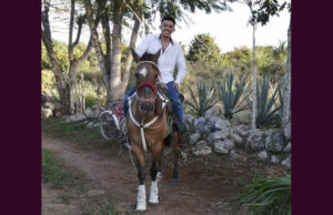 Fallece joven tras ser corneado por un toro en Yucatán