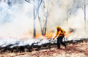 Conafor y Protección Civil controlan tres incendios forestales en Quintana Roo