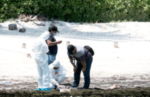 Reportan recale de osamenta en Playa Azul, Cancún