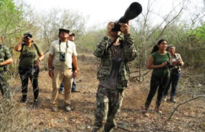 Festival de las Aves Toh promueve talleres sobre conservación de especies en la península