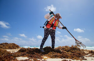 Cozumel implementa estrategia para controlar el sargazo en las playas