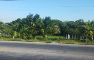 Llaman a la población a evitar ser estafados con supuestas ventas de predios en Ciudad del Carmen