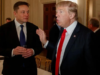 Elon Musk permitirá el regreso de Donald Trump a Twitter