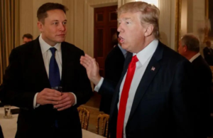 Elon Musk permitirá el regreso de Donald Trump a Twitter