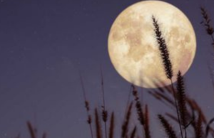 Luna de flores de mayo: Cuándo será el fenómeno astronómico