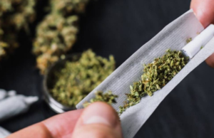 Suprema Corte de Justicia rechaza penalizar posesión de mariguana