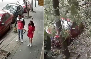 Así fue el momento en que pareja se salva de ser aplastada por un árbol: VIDEO