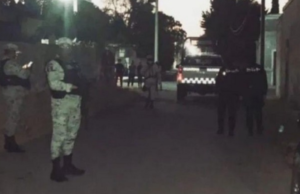 Catean bodega de especies en veda en Dzilam de Bravo; aseguran media tonelada de pulpo