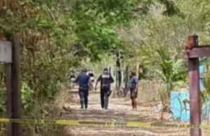 Encuentran restos óseos en área verde de Cozumel