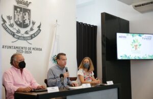 Cruzada Forestal en Mérida, Yucatán, va por 15 mil nuevos árboles