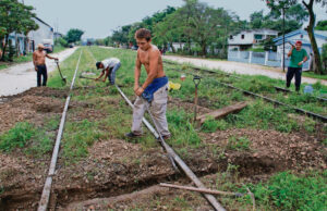 Tierra ejidales en Yucatán sólo pertenecen a un bajo porcentaje de mujeres: RAN