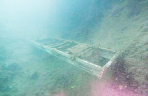 Limpian Cenote Zací y encuentran montones de basura, incluso una escalera