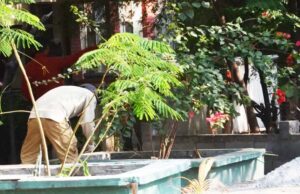 Localizan credencial de Debanhi Escobar en una jardinera de Monterrey