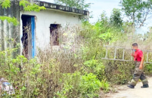 Hallan a persona sin vida en cenote de la colonia “La Amistad” en Cancún