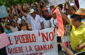Defensores reclaman daños irreparables a la salud, ambiente y fauna por granjas porcícolas