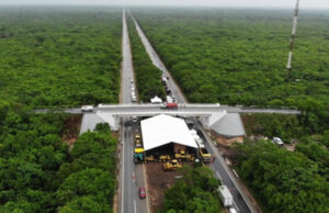 Juez admite ampliación de amparo contra obras del tramo 5 del Tren Maya