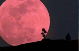 ¿Cuándo es y por qué se llama Luna de Fresa?