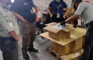 Aseguran cargamento de extracto de mariguana en el aeropuerto de Cancún