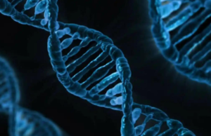 Científicos encuentran la mutación genética que causa el lupus