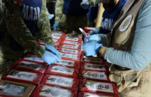 Producción de cocaína alcanza récord histórico; ONU advierte aumento del consumo