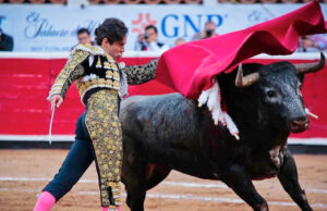 SCJN considera que corridas de toros y peleas de gallos no son patrimonio cultural