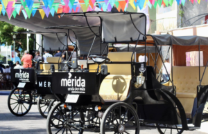 Calesas eléctricas inician operaciones este viernes en Mérida, Yucatán