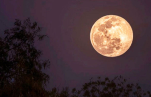 Superluna de Ciervo: ¿Cuándo se podrá ver en Quintana Roo y por qué se llama así?