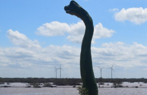 Autoridades convierten Malecón de Progreso en Disneylandia de ínfima categoría, acusa artista