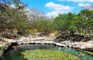 Cenote de Dzibilchaltún seguirá cerrado por contaminación