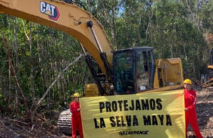 Greenpeace denuncia la reanudación ilegal de obras del Tren Maya