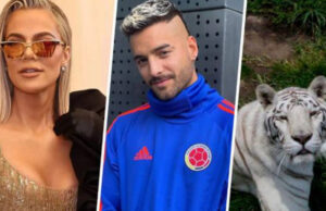 ¿Quiénes son los famosos que hicieron donaciones al santuario Black Jaguar-White Tiger?