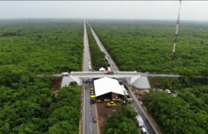 INAI pide transparentar contratos del polémico proyecto de AMLO en el Sureste